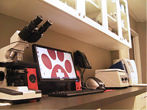 Laboratorio y farmacia veterinaria