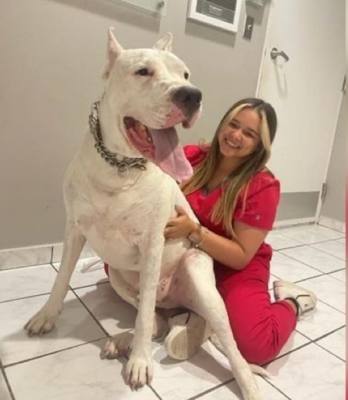 Nataliz Cruz, técnica veterinaria