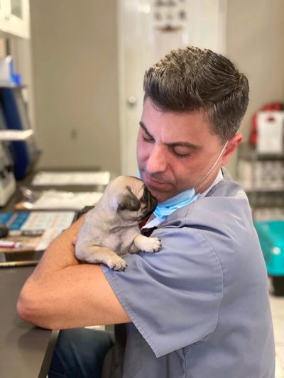 Dr. Eduardo Díaz-Argimón sosteniendo un cachorro