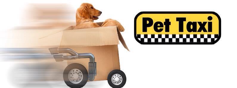 Servicio Pet Taxi de Baldwin Animal Hospital para el transporte de mascotas